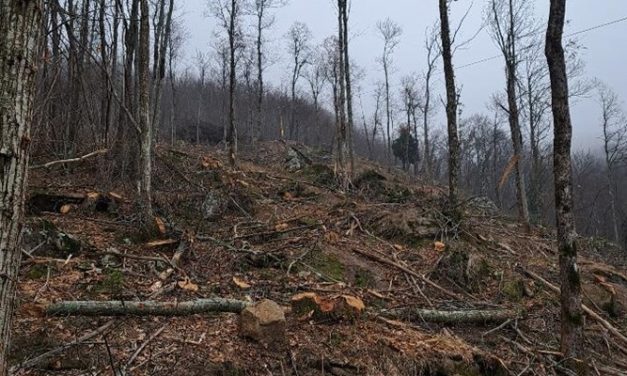 Cosa sta accadendo ai territori di Monte Giogo di Villore? La denuncia del Comitato Tutela Crinale Mugellano