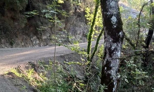 Dicomano – Giannelli a Santa Lucia lavori interrotti da oltre un mese