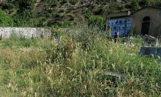 La Voce dei Lettori: sporcizia, erba alta e buio in alcune strade cittadine