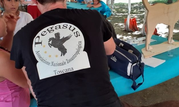 Misericordia di Firenzuola: Impegno sociale, solidarietà e nuove iniziative per la comunità