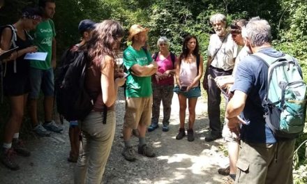 Resoconto della Passeggiata di domenica 16 luglio del Comitato Tutela Crinale Mugellano sui crinali di Monte Giogo di Villore Corella.