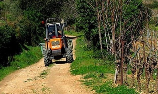 Trattore ribaltato a san Cresci. Niente di grave fortunatamente