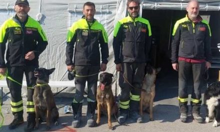 Angeli con la coda, premiati in Liguria i cani dei Vigili fuoco della Toscana