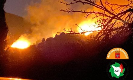 Vasto incendio nella notte all’Isola d’Elba. Stamani situazione sotto controllo