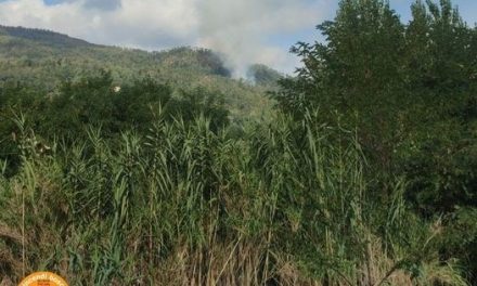 Giornata critica per i boschi toscani. Tre incendi da domare con personale e molti mezzi impegnati