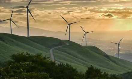 Impianto eolico Monte Giogo di Villore: il Parlamento europeo accetta la petizione per la salvaguardia dell’ambiente