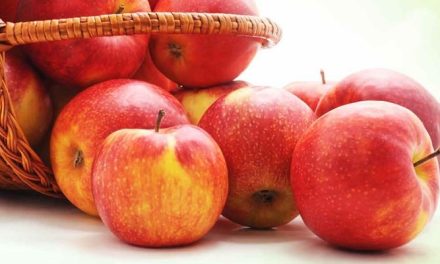 Anche nelle mense di Borgo San Lorenzo le mele di Associazione Tumori Toscana