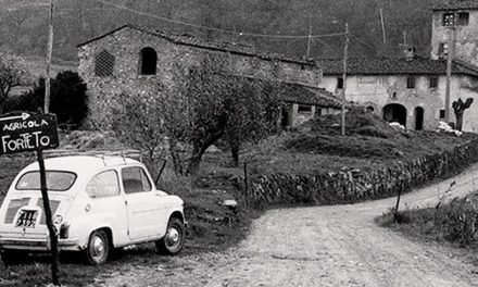Forteto: la Corte Europea respinge 15 richieste su 16. Lo Stato italiano deve risarcire solo una vittima