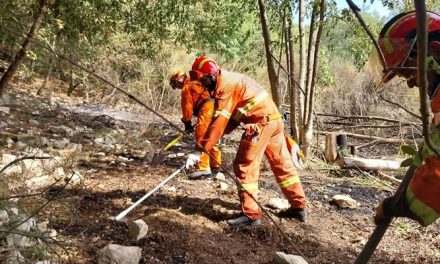 Incendio di Vegetazione a Vaglia: Intervento dei Vigili del Fuoco e Volontari VAB