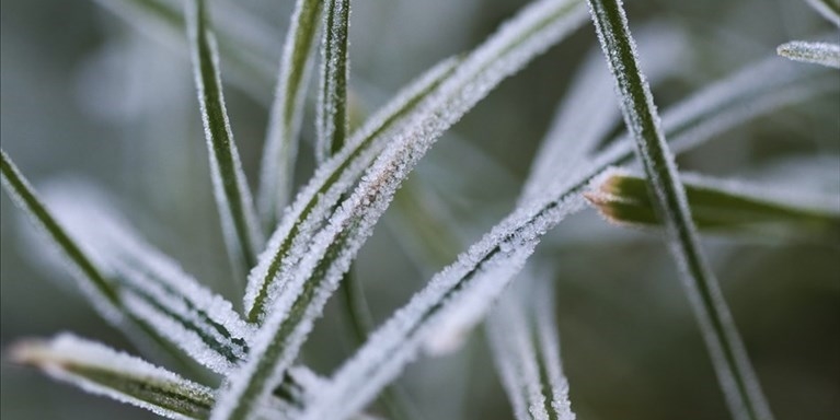Allerta meteo giallo per ghiaccio