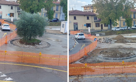 L’Ulivo di Piazza Giovanni Bosco a Borgo San Lorenzo trova una nuova casa dopo il rifacimento urbano