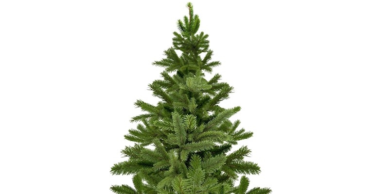 Cosa fare degli alberi di Natale