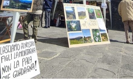 Impianto eolico Giogo di Villore e Corella – La battaglia continua