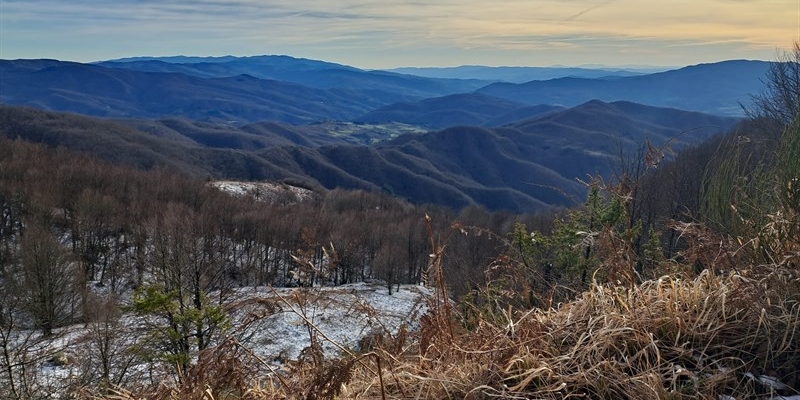 La sentenza del TAR non ha bocciato gli ambientalisti ma il futuro del Mugello e dell’Appennino tosco emiliano-romagnolo