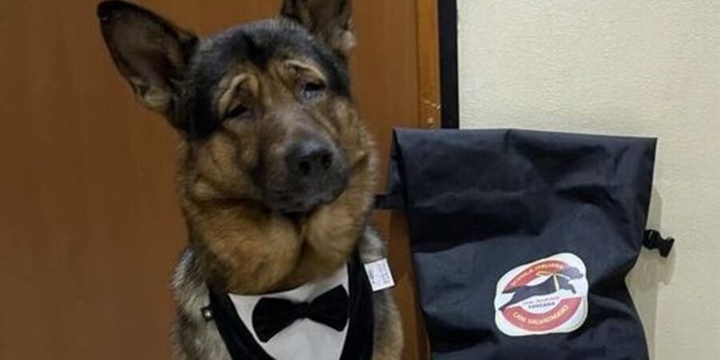 Marley, un campione speciale toscano a Sanremo