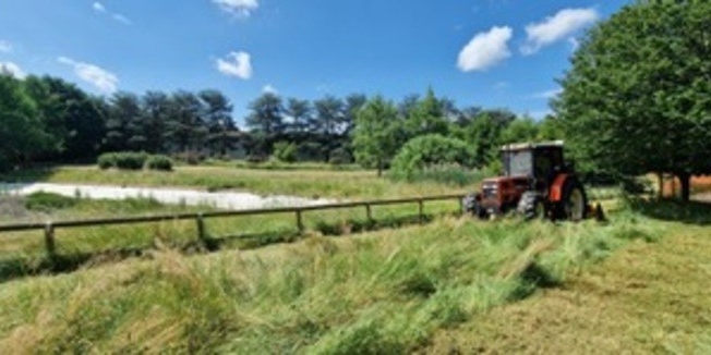 Bio Lago del Parco Pertini – Iniziano i lavori