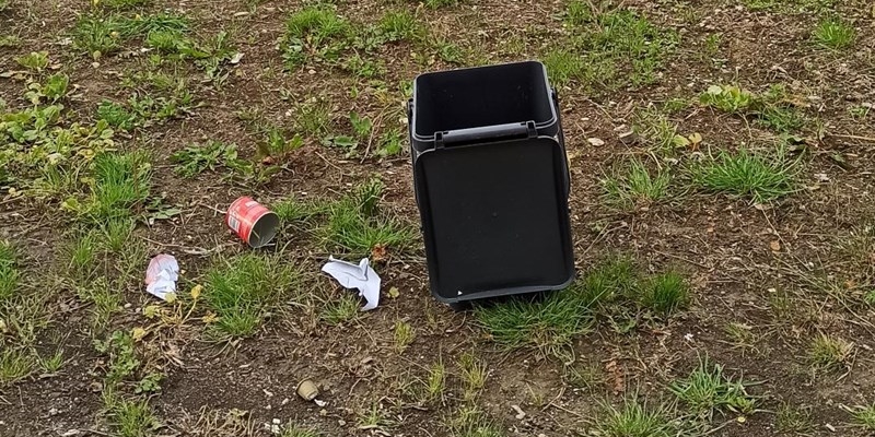 Cinghiali a Vaglia: Una situazione fuori controllo?