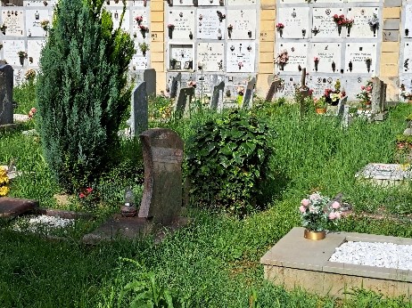 L’incuria del Cimitero Comunale di Borgo San Lorenzo