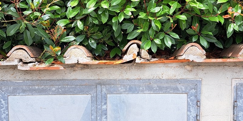 Via della Tintoria – Taglio erba con danni. Chi paga?