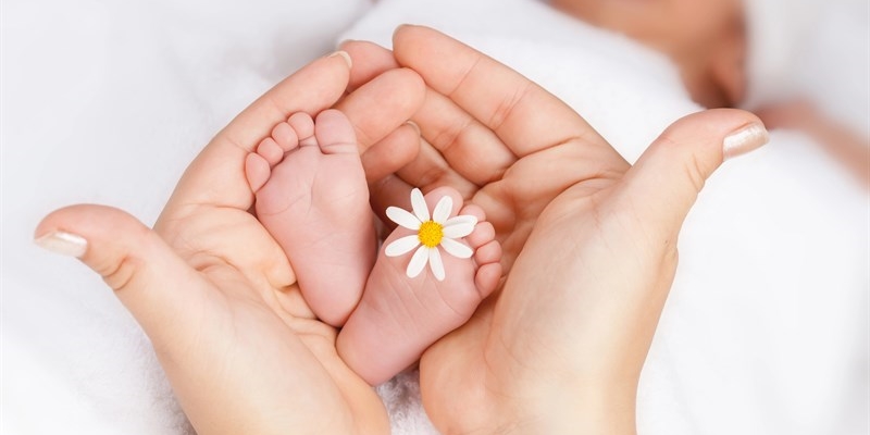 Benvenuto Damiano: Un nuovo arrivo nella famiglia Zeni