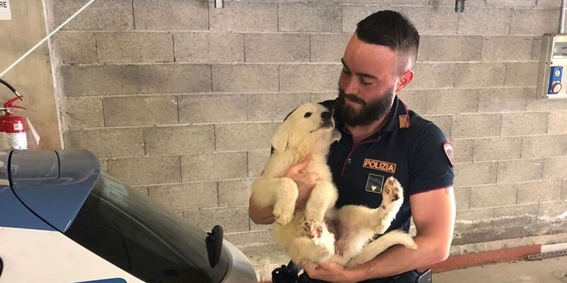 #Senontiportononparto: spot contro l’abbandono degli animali della Polizia di Stato