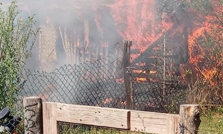 Allarme incendio a La Viottola: Intervento in corso dei Vigili del Fuoco