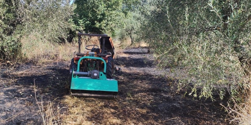 Trattore in fiamme: distrutti 500mq di oliveto. Intervengono VAB e Vigili del Fuoco
