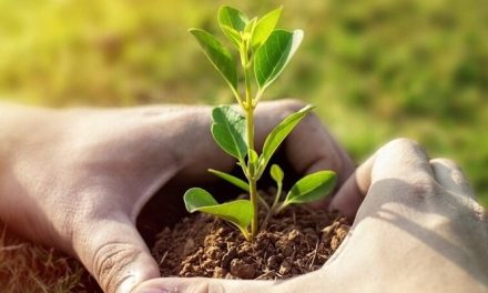 Cercasi aspiranti contadini