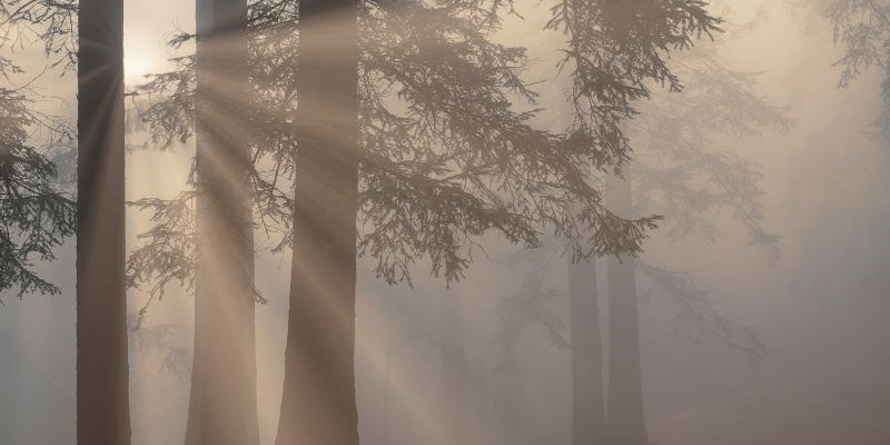 Trekking, arriva la 1° edizione del Festival Fall Foliage a Castagno d’Andrea: pronta la presentazione della nuova guida “Le Foreste Sacre”