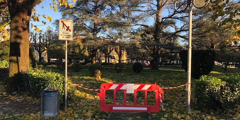 Borgo San Lorenzo, il Sindaco emette la chiusura dei giardini di Piazza Dante: i cedri non reggono alle forti raffiche di vento