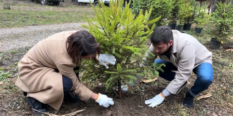 La Foresta di Rincine torna a respirare: Londa e l’Unione di Comuni Valdarno Valdisieve avviano la rigenerazione di 15mila mq di bosco grazie ad un importante progetto