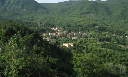 Parco Nazionale delle Foreste Casentinesi, Legambiente: “Chiediamo un Presidente di alto profilo che possa rilanciare l’area protetta. Auspichiamo sia donna e giovane”