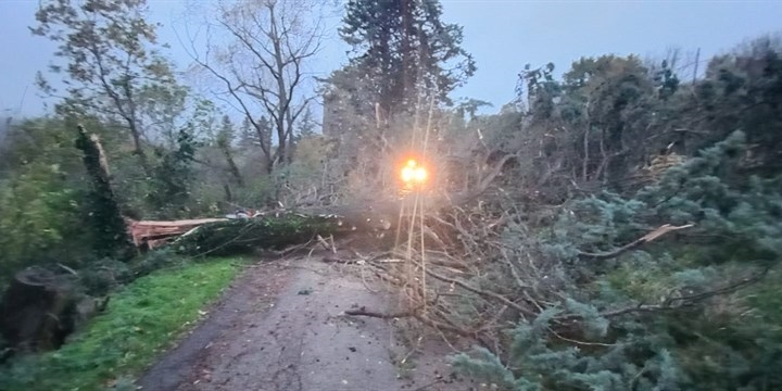 Vento forte – Molti danni e disagi in Mugello