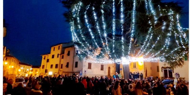 L’albero di Borgo San Lorenzo. Un simbolo che nasce da una storia curiosa