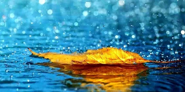 Allerta meteo. Codice giallo per pioggia e temporali forti in Toscana il 31 gennaio 2025