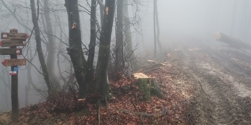 Assemblea pubblica a Vicchio: i Comitati in difesa dell’Appennino Mugellano si mobilitano contro la colonizzazione industriale eolica