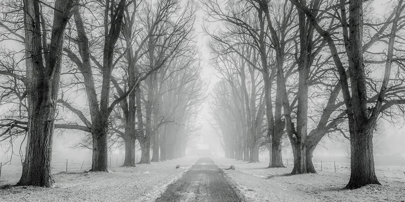 Forte vento e nevicate in Toscana: allerta gialla prorogata a Martedì 14 gennaio