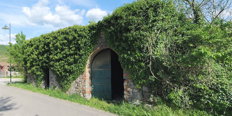 Segnalata una possibile discarica abusiva a Tagliaferro: il degrado all’ingresso della frazione