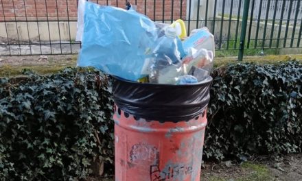 Decoro urbano e responsabilità. Il porta a porta tra critiche e cattive abitudini