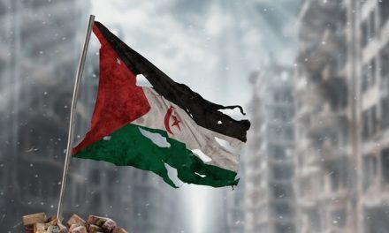 Il Consiglio Comunale di Dicomano presenta una mozione per il riconoscimento della Repubblica Araba Saharawi Democratica