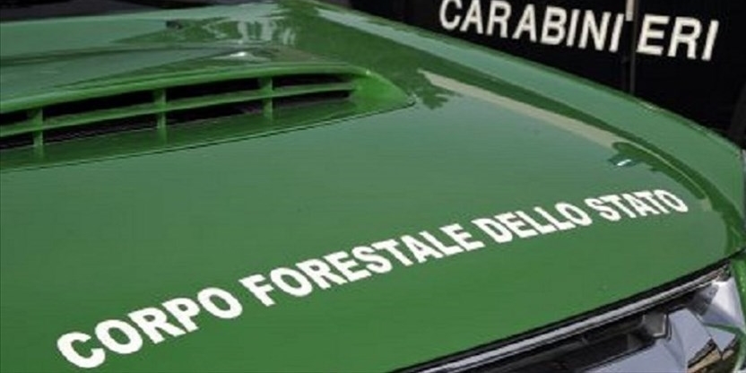 L’impegno dei Carabinieri forestali in Toscana per la tutela ambientale e la biodiversità nel 2024