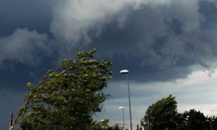 Allerta meteo in Toscana. Codice giallo per vento forte il 1° aprile 2025