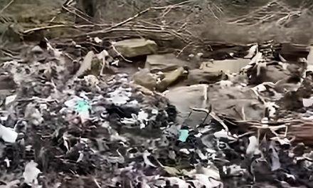 Emergenza ambientale sul torrente Rovigo: il maltempo fa franare una vecchia discarica