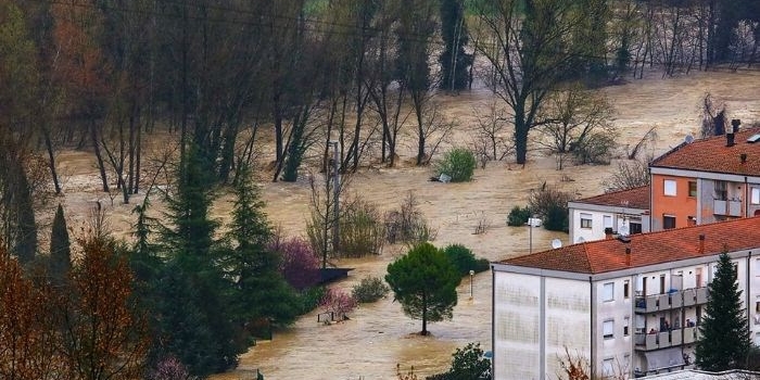 Giornata Internazionale delle Foreste, alcune riflessioni