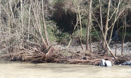 Lettere in redazione. Rive del Lamone abbandonate? I residenti chiedono interventi urgenti