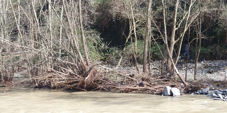 Lettere in redazione. Rive del Lamone abbandonate? I residenti chiedono interventi urgenti