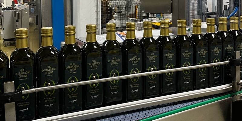 Olio del territorio nelle mense scolastiche del Mugello: al via dal 3 marzo grazie a Siaf