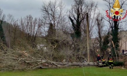 San Piero a Sieve, pianta pericolante su linea elettrica: intervento dei Vigili del Fuoco