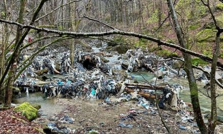 Torrente Rovigo: vietata la raccolta dei rifiuti ai cittadini, ordinanza del Sindaco di Palazzuolo sul Senio