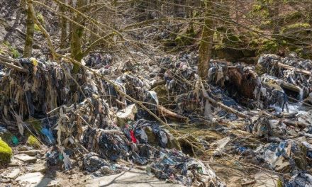 Appello per la bonifica delle vecchie discariche nell’Appennino Tosco-Romagnolo: una petizione per prevenire nuovi disastri ambientali